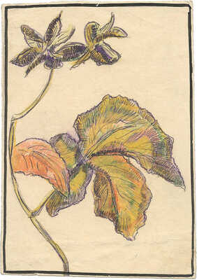 Шурига Пелагея Николаевна. Стебель растения